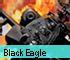 Black Eagle