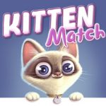 Kitten Match