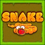 Snake Game