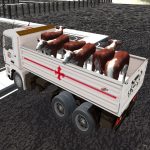 Truck Transport Domestic Animals